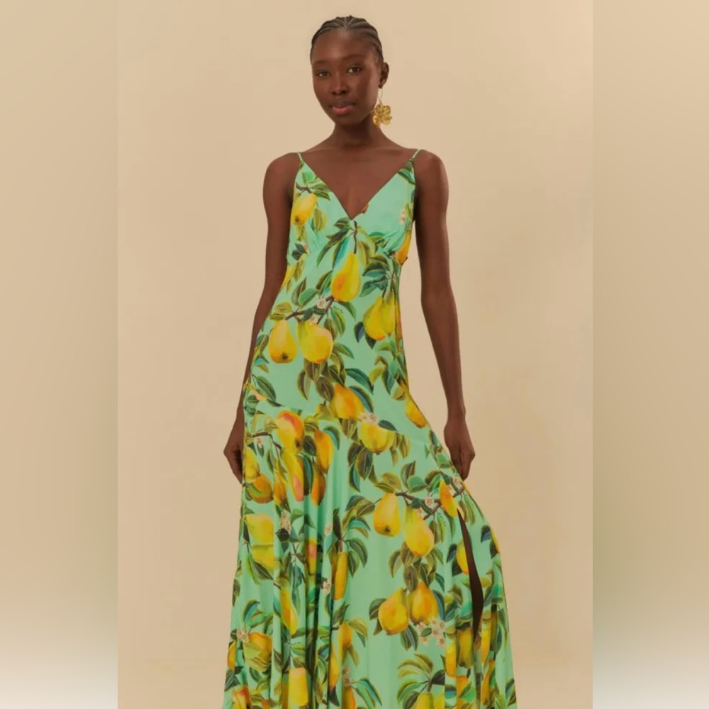 NWOT FARM Print Maxi Dress